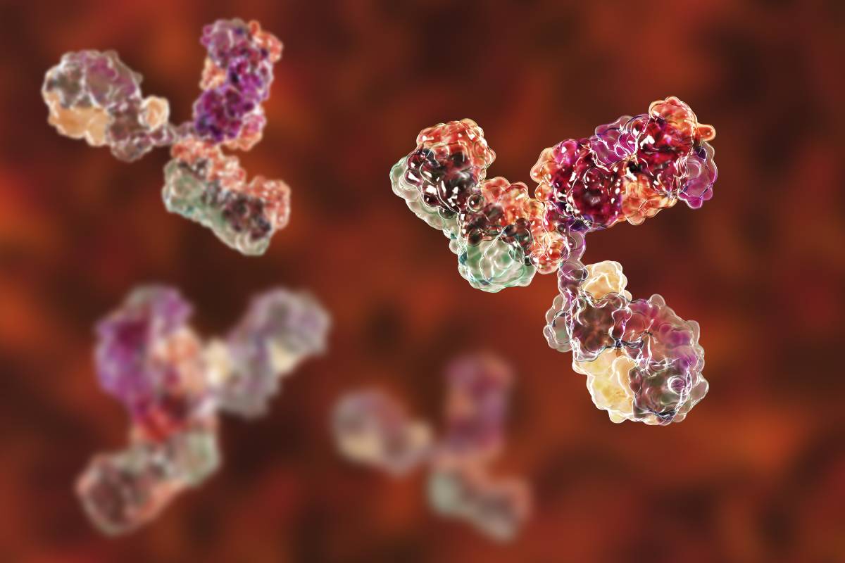 Mechanism of Monoclonal Antibody Therapy