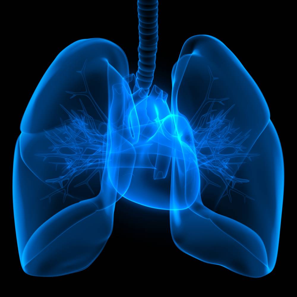 Anesthesia on the Respiratory System – Concerns for Atelectasis