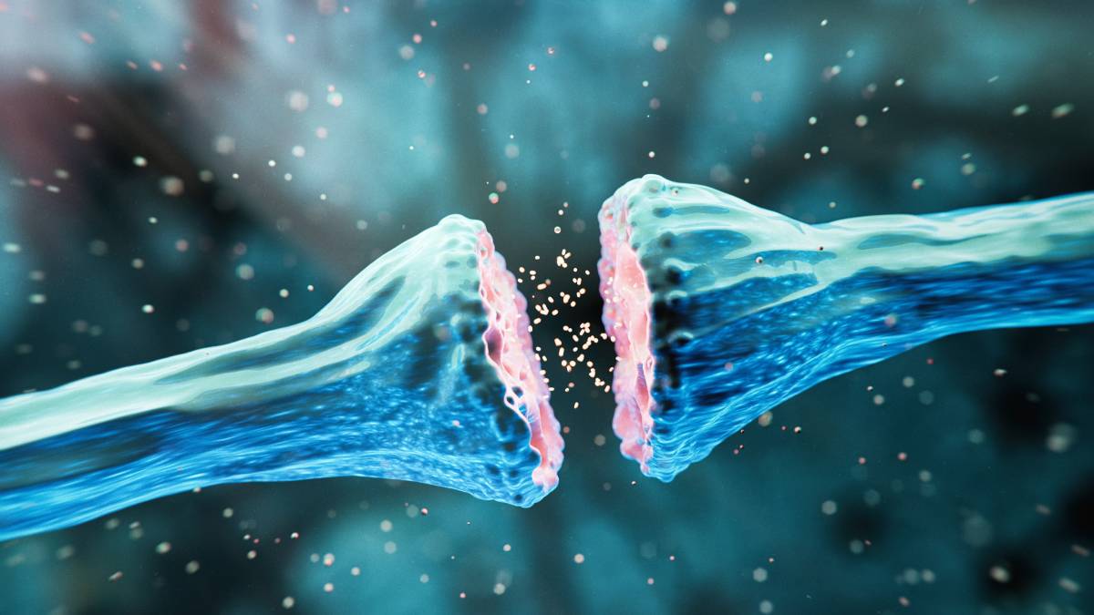 Synaptic Dysfunction in Huntington’s Disease